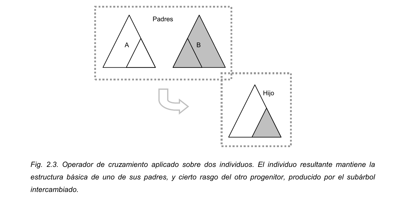 Esquema del operador de cruzamiento genético: dos individuos padre representados como árboles intercambian un subárbol para producir un individuo hijo